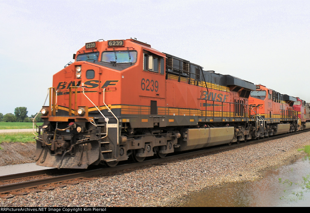 BNSF 6239